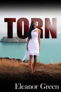 TORN cover1